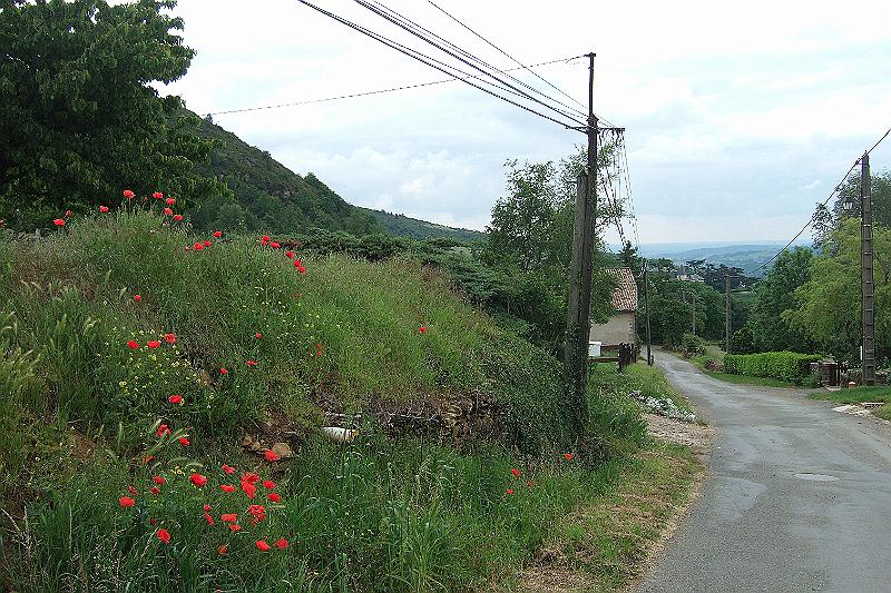 2010-06- (28).JPG